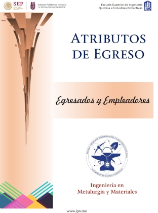 Encuesta Egresados IMM