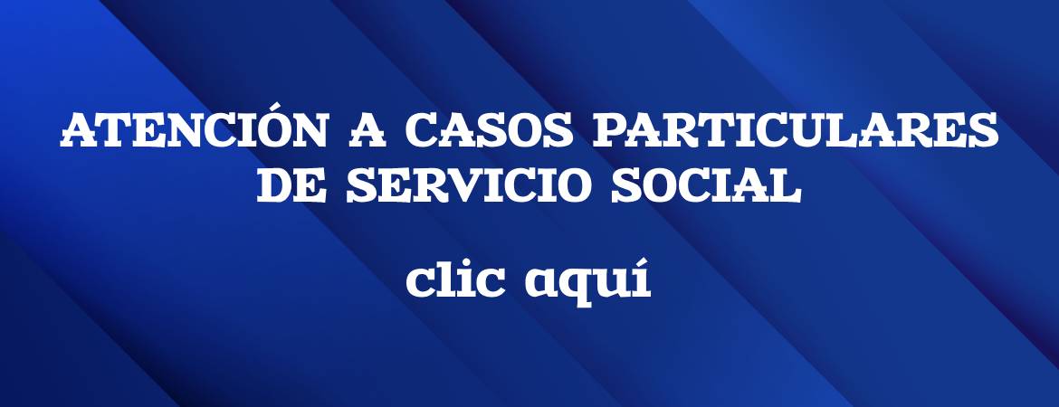 Atencíón a casos particulares de servicio social
