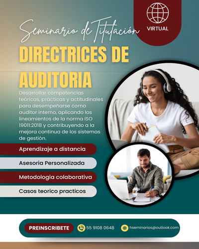 Seminario directrices de auditoría